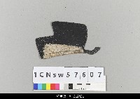 藏品(中國湖北皮影戲盔帽-黑貂)的圖片